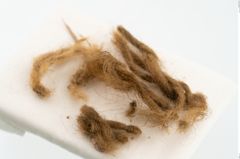Etikett zu Textil (NHMW-PRAE-120573)